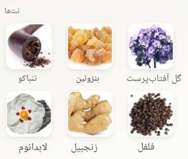عطر اتکینسونز د اود فلو بوکت | Atkinsons The Odd Fellow Bouquet خوشبوشو