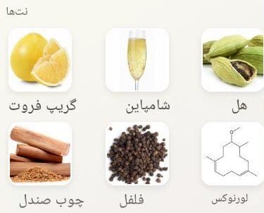 عطر اتات لیبر د اورنج رمارکبل پیپل | Etat Libre d’Orange Remarkable People خوشبوشو