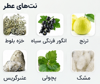 عطر افنان سوپر ماسی نات اونلی اینتنس | Afnan Supremacy Not Only Intense 2 عطر ادکلن افنان سوپر ماسی نات اونلی اینتنس | Afnan Supremacy Not Only Intense خوشبوشو