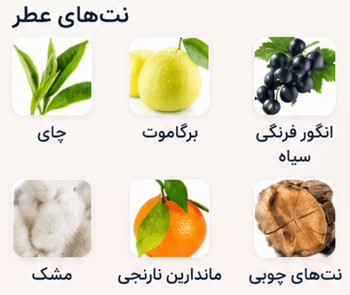 عطر افنان سوپر ماسی این هیون | Afnan Supremacy In Heaven خوشبوشو