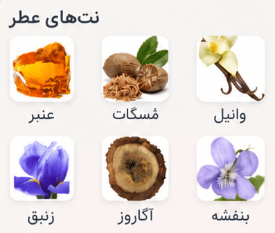عطر افنان سوپر ماسی طلایی | Afnan supremacy gold خوشبوشو