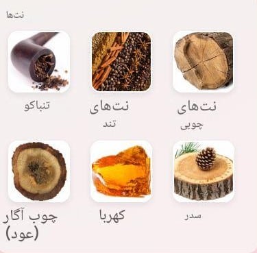 عطر افنان توباکو راش | Afnan Tobacco Rush خوشبوشو