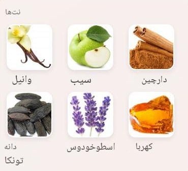 عطر افنان ۹ پی ام | Afnan 9pm خوشبوشو