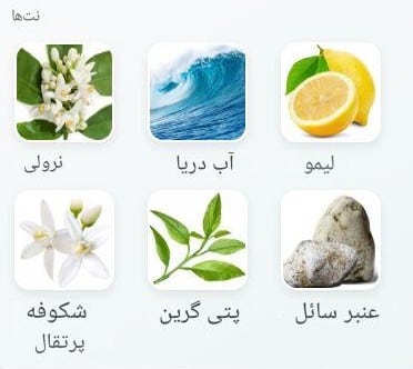 عطر اتکینسونز سیلی نرولی | Atkinsons Scilly Neroli خوشبوشو