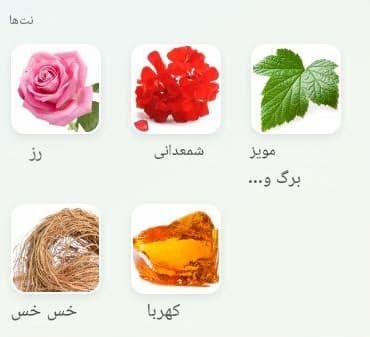 عطر اتکینسونز رز این واندرلند | Atkinsons Rose in Wonderland خوشبوشو