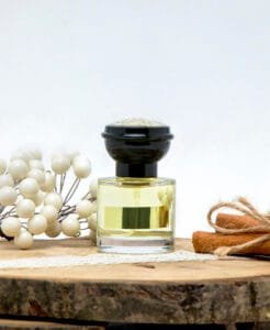 تستر ادکلن بلو شنل بدون جعبه