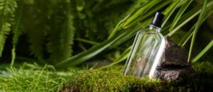  بررسی دلایل محبوبیت بلو شنل