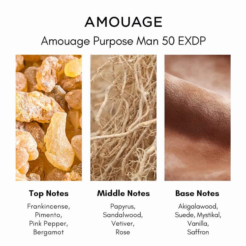 عطر آمواج پرپس ۵۰ | Amouage Purpose 50 - عکس 4 | خوشبوشو