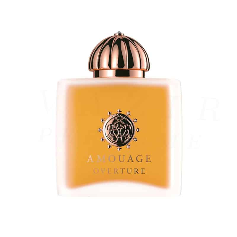 عطر ادکلن آمواژ اوورچر زنانه | Overture Woman Amouage-خوشبوشو