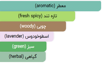 شنل اگویست پلاتینیوم - Egoiste Platinum-