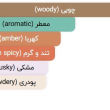 عطر ادکلن آمواج ریزنز | Amouage Reasons - عکس 3 | خوشبوشو