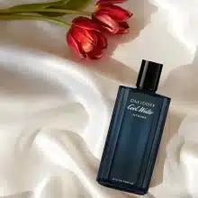 عطر ادکلن دیویدوف کول واتر اینتنس مردانه | Davidoff Cool Water Intense - عکس 1 | خوشبوشو